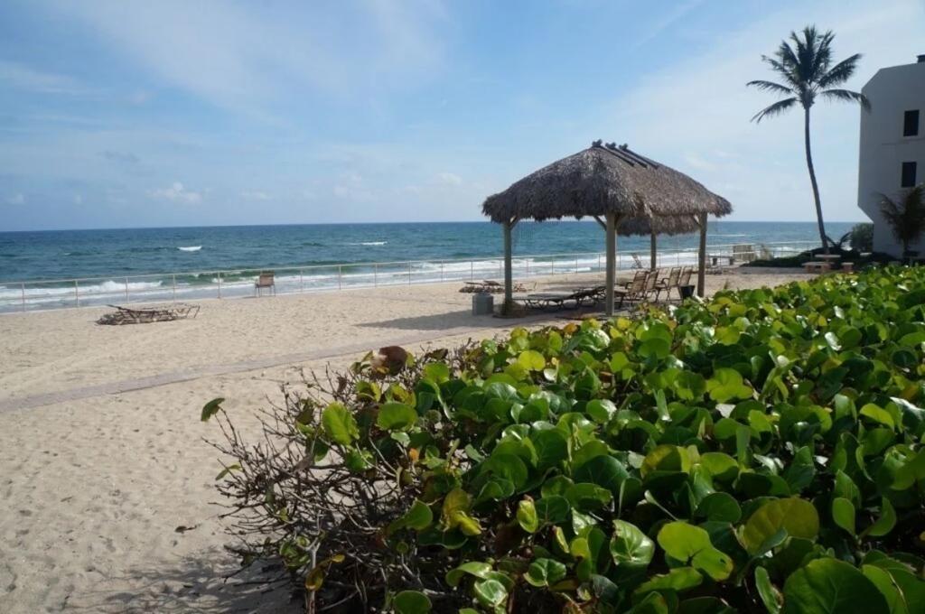 1 Bedroom Beachfront Villa Rental in Deerfield Beach, Florida