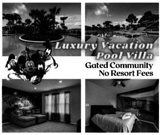 5 BR Pet-Friendly Vacation Villa