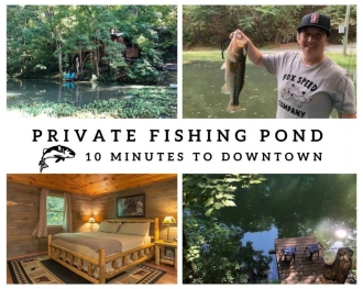 1 BR Pet-Friendly Cabin