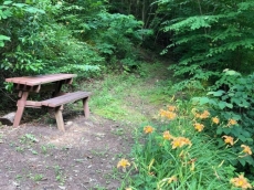 The Fishing Hole | Weekly & Monthly Discounts