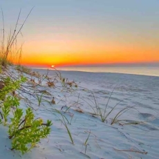 Coastal Retreat Family Friendly 4BR Walk to Pool