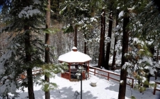 Tall Tree Lodge 5bed/4bath Tranquil forest Setting