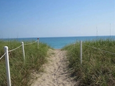 1 BR Pet-Friendly Condo Rental