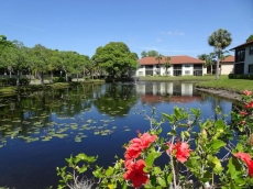 Florida Palms Heaven Executive Villa - near IMG Academy & Anna Maria beach-best deal/discount for 1-31 January 2024