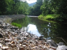 Pet Friendly Toccoa Riverfront Cabin with 1200' of Riverfront at your back door