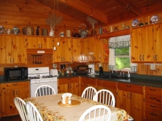 Pet Friendly Toccoa Riverfront Cabin with 1200' of Riverfront at your back door