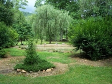 Pet Friendly Toccoa Riverfront Cabin with 1200' of Riverfront at your back door