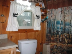 Pet Friendly Toccoa Riverfront Cabin with 1200' of Riverfront at your back door