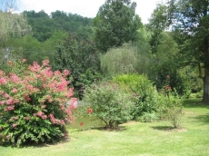 Pet Friendly Toccoa Riverfront Cabin with 1200' of Riverfront at your back door