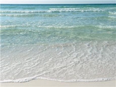 Costa Vista 21 | A Miramar Beach Vacation Rental