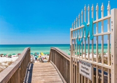 Coastal Rose- Maravilla