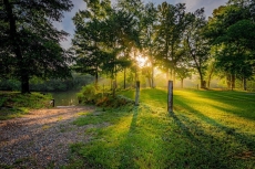 Firefly at Lazy River Cabins on Mt Fork River