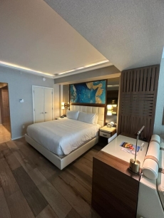 New Serene Condo in Luxury Hotel