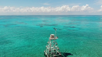 Monthly Snowbirds Vacation Rental