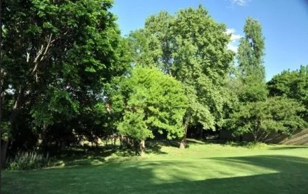 1 Bedroom House Rental in Rivonia, South Africa