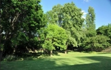 1 Bedroom House Sand River