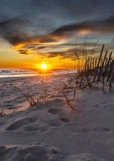 Sunchase 208