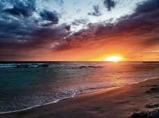 Crystal View Rental 101 Condominium Rental