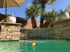 Mauna Loa Retreat - Monthly Spacious 4BR 2.5 Bath Oasis W/Private Pool