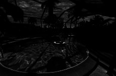 Coral Palms - POOL & CANAL w/ quick Gulf access. 1.5 miles to Yacht Club & Beach