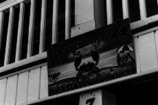 4 Shrimp and a Crab - Surfside Beach Places