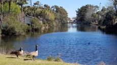 By the Pond - Surfside Beach Places