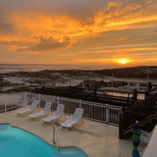 Dolphin View Duplex A- Beachfront Heated Pool! Gulf Shores - Pet Friendly - 4bdr