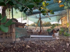 Charm and nature between sea an unesco old town