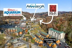Gatlinburg Condo - Summit Cabin Rentals