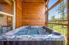 Mountain Skyy - Summit Cabin Rentals