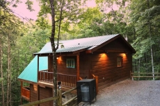 1 BR Pet-Friendly Cabin Rental