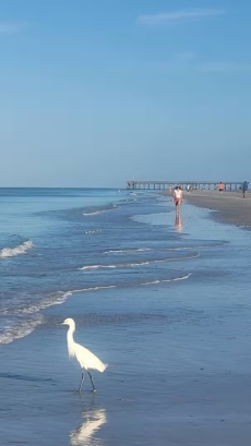 1st Floor - Waterfront 2BR 2BA, 2 King Condo Madeira Beach