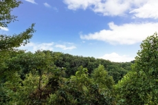 Pappy's Peak - Summit Cabin Rentals