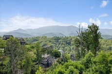 Grizzlies Den - Summit Cabin Rentals