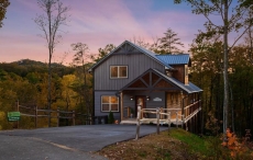 4 BR Pet-Friendly Cabin Rental