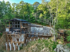 1 BR Pet-Friendly Cabin Rental