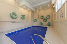 Black Bear Splash - Summit Cabin Rentals