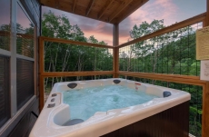 Freedom - Summit Cabin Rentals