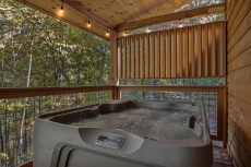 The Wild Life | Summit Cabin Rentals