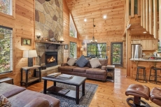 The Wild Life | Summit Cabin Rentals