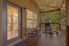 The Wild Life | Summit Cabin Rentals