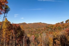 Victoria | Summit Cabin Rentals