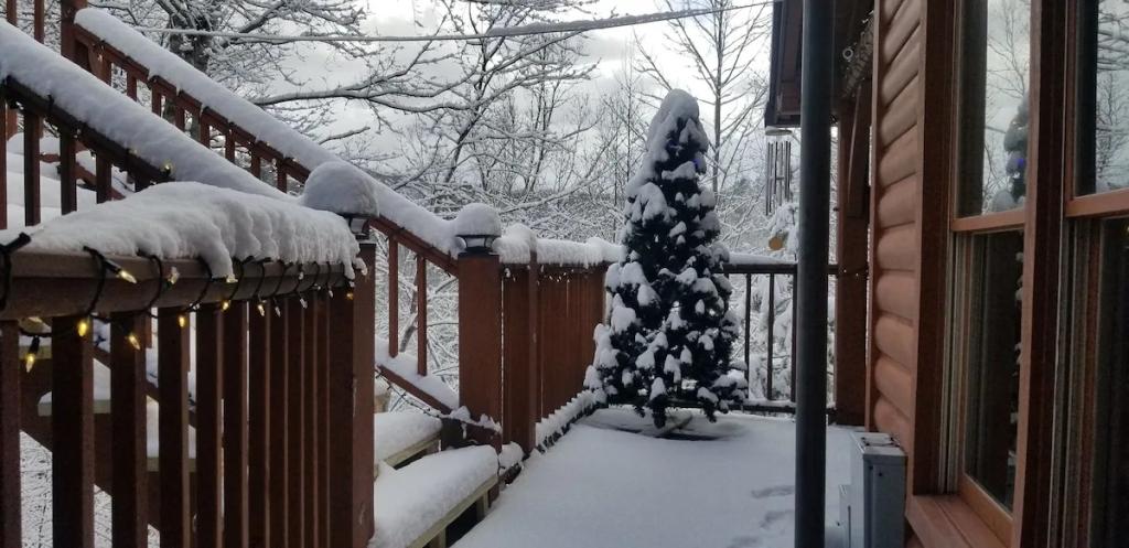 1 Bedroom Cabin Rental in Wears Valley, Tennessee