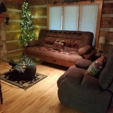 Matthew11:28~4 mil Pkwy-Dwntwn Pigfrge hot tub, wifi-gas fireplace-NO EXTRA FEES