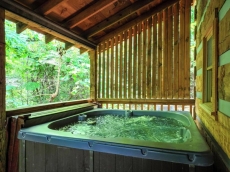 Luke11:33 5mile Dwntwn Pigforg~Pkwy-Hotub-Gameroom-wifi-NO EXTRA FEES