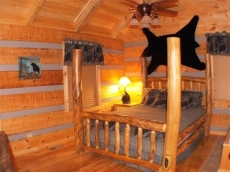 Psalm91:11 4-miI Pkwy-Pigfor~Jacz-hotub-wifi-gasfirplce,Gas Grill-NO EXTRA FEES