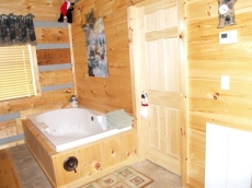 Psalm91:11 4-miI Pkwy-Pigfor~Jacz-hotub-wifi-gasfirplce,Gas Grill-NO EXTRA FEES