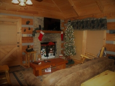 Psalm91:11 4-miI Pkwy-Pigfor~Jacz-hotub-wifi-gasfirplce,Gas Grill-NO EXTRA FEES