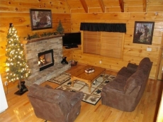 Mark10:27~2mile Pkwy-Dowtown Pigforge-Hotub-Jacz-Wifi-Gameroom.-NO EXTRA FEES