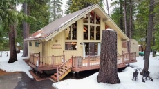 Evergreen Pinecone Cottage • Hot Tub • Espresso